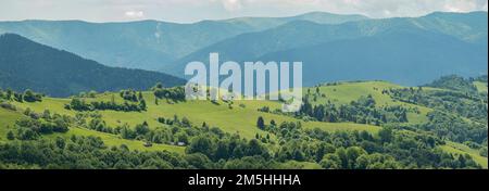 Entwaldung von Bergwäldern. Auswirkungen des Menschen auf die Umwelt. Karpaten, Ukraine, Europa. Panoramablick auf die ukrainischen Berge im Sommer. Stockfoto