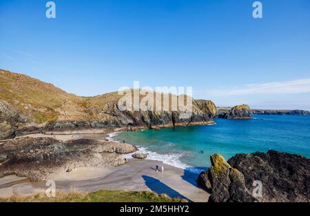 Küste und unberührte zerklüftete Landschaft am Kynance Cove auf der Lizard Peninsula an einem sonnigen Tag an der Südküste Cornwalls im Südwesten Englands Stockfoto