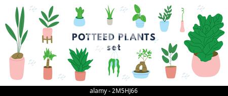 Topfpflanzen-Set. Inneneinrichtung in Grün. Verschiedene Sukkulenten, Kakteen, Laub. Stock Vektor