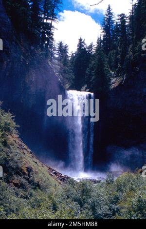 Mt. Hood Scenic Byway – Tamanawas Falls. Zwei Wanderwege führen Besucher entlang des Cold Springs Creek und über vier hölzerne Fußgängerbrücken zu den beeindruckenden 100 m hohen Wanderwegen. Stürze. Standort: Oregon (45,402° N 121,589° W) Stockfoto