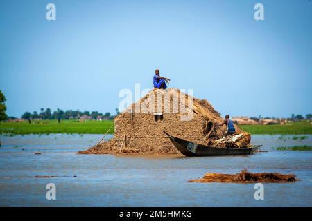 Mali, ein Mann, der auf dem Dach seines Hauses sitzt und ein Strohdach macht. Stockfoto
