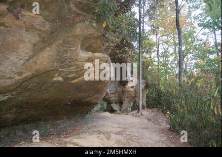 Red River Gorge Scenic Byway - Angel Windows. Mehrere „Fenster“ im goldenen Felsen der geologischen Gegend der Red River Gorge bilden die Engelsfenster. Lage: Angel Windows, Red River Gorge Geological Area, Kentucky Stockfoto