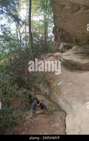 Red River Gorge Scenic Byway - Wandern unter Angel Windows. Auf dem Angel Windows Trail im Geologischen Gebiet der Red River Gorge könnt ihr die Tiefe der Schlucht unter den Engelsfenstern erkunden. Lage: Red River Gorge Geological Area, Daniel Boone National Forest, Kentucky Stockfoto