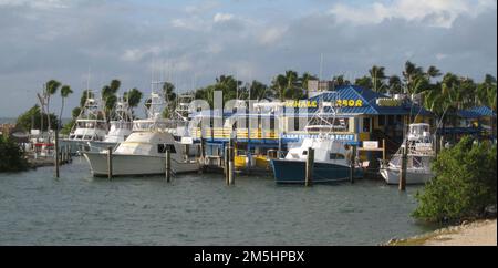 Florida Keys Scenic Highway - Whale Harbor Marina in Islamorada. Auf der Atlantikseite des Florida Keys Scenic Highway befindet sich die farbenfrohe und malerische, von Palmen gesäumte Whale Harbor Marina, in der zahlreiche Angelboote und Jetski-Verleih angeboten werden. Standort: Islamorada, Florida (24,955° N 80,588° W) Stockfoto