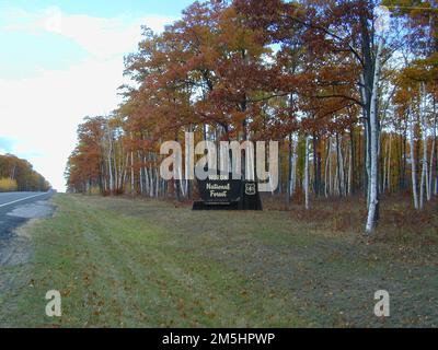 River Road Scenic Byway - Eingang zum Huron National Forest. Das National Forest-Schild begrüßt Besucher in den herbstreichen Daphnwald am Highway 72. Lage: Huron National Forest, Michigan Stockfoto