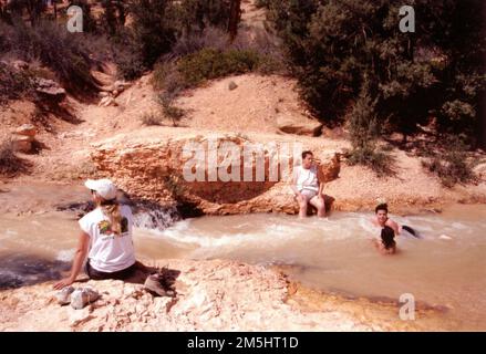 Scenic Byway 12 - Waten im Tropic Creek. Wanderer auf dem Mossy Cave Trail erhalten eine willkommene Pause von der Hitze im Juli mit einem Bad im Tropic Creek im Bryce Canyon. Standort: Utah (37,664° N 112,114° W) Stockfoto