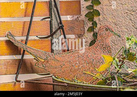 Digital verbessertes Bild einer lachenden Nesttaube (Spilopelia senegalensis) Stockfoto