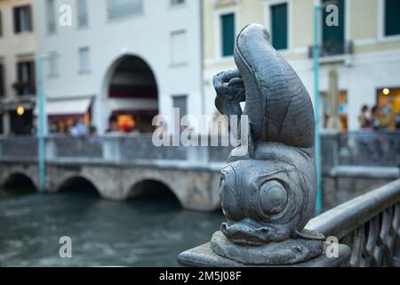 Treviso Fischerinsel - Fischsymbol des Marktes Stockfoto