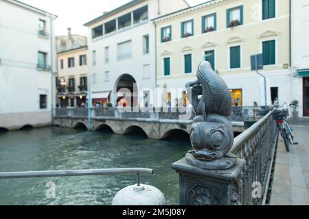 Treviso Fischerinsel - Fischsymbol des Marktes Stockfoto