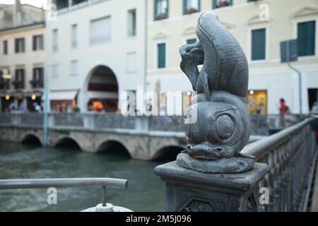 Treviso Fischerinsel - Fischsymbol des Marktes Stockfoto