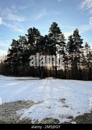 Wunderschöne Landschaft im Winter bei Sonnenuntergang, wo die Sonne durch die Bäume im Wald scheint und weißer Schnee auf der Wiese. Stockfoto