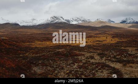 Der wunderschöne Denali-See spiegelt die Alaska-Berge an einem bewölkten Tag wider Stockfoto