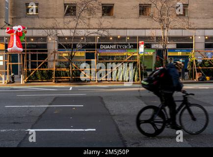 Ein aufblasbarer Weihnachtsmann blickt am Dienstag, den 20. Dezember 2022 im Stadtviertel Chelsea in New York auf einen schwindenden Weihnachtsbaum sellerÕs. (© Richard B. Levine) Stockfoto