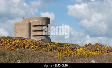 Deutsche Nazibetonbefestigungen Teil der Atlantischen Mauer aus dem 2. Weltkrieg auf Alderney Kanalinseln vor gelber Schlucht und blauem Himmel Stockfoto