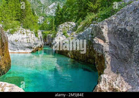 Herrliches smaragdfarbenes Wasser an der Großen Soca-Schlucht in Slowenien, umgeben von üppigen Bäumen und Bergen Stockfoto