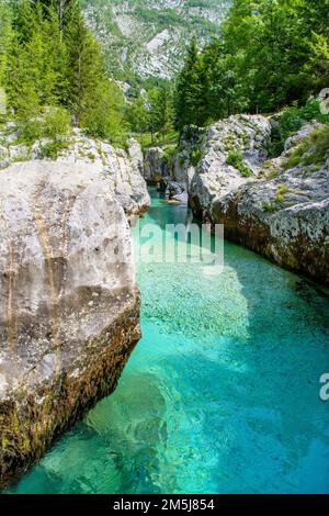 Herrliches smaragdfarbenes Wasser an der Großen Soca-Schlucht in Slowenien, umgeben von üppigen Bäumen und Bergen Stockfoto