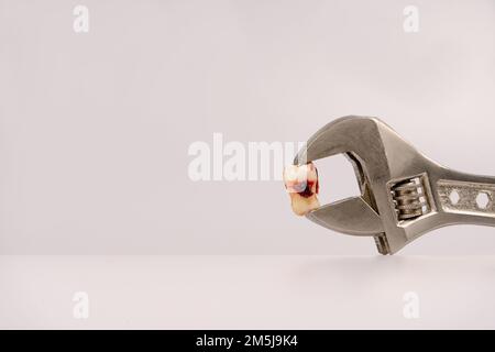 Zahnextraktion mit Zahnwerkzeugen bei Karies durch einen Stamatologen in einer Zahnarztpraxis. Eine Zange mit einem Weisheitszahn. Zahnärztliches Konzept Stockfoto
