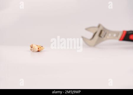 Zahnextraktion mit Zahnwerkzeugen bei Karies durch einen Stamatologen in einer Zahnarztpraxis. Eine Zange mit einem Weisheitszahn. Zahnärztliches Konzept Stockfoto