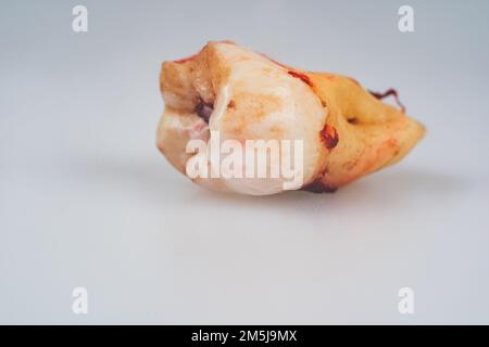 Menschlicher Weisheitszahn isoliert auf grauem Hintergrund. Zahnärztliches Konzept. Makrofoto eines Weisheitszahnes in der Nahaufnahme Stockfoto