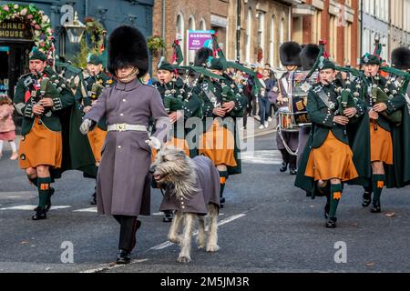 Irish Guards Maskottchen „Seamus“, Windsor, Berkshire, Großbritannien Stockfoto