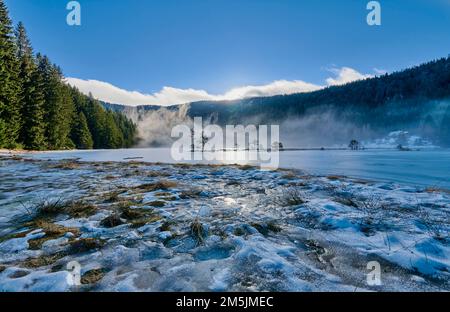 Kleiner Arbersee mit Insel, kleiner Arbersee mit Insel Stockfoto