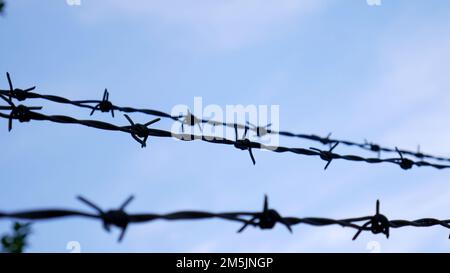 Stacheldraht Stockfoto