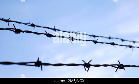 Stacheldraht Stockfoto