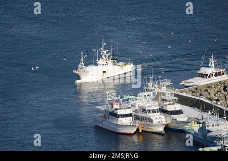 Rausu, 28. November 2017: Blick auf ein Fischerboot, das im Hafen ankommt. Halbinsel Shiretoko. Unterpräfektur Nemuro. Hokkaido. Japan. Stockfoto