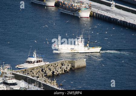 Rausu, 28. November 2017: Blick auf ein Fischerboot, das im Hafen ankommt. Halbinsel Shiretoko. Unterpräfektur Nemuro. Hokkaido. Japan. Stockfoto