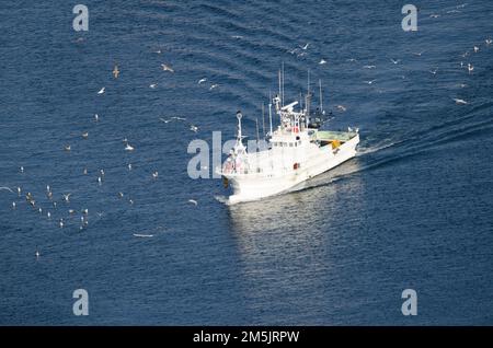 Rausu, 28. November 2017: Blick auf ein Fischerboot, das zum Hafen zurückkehrt. Halbinsel Shiretoko. Unterpräfektur Nemuro. Hokkaido. Japan. Stockfoto