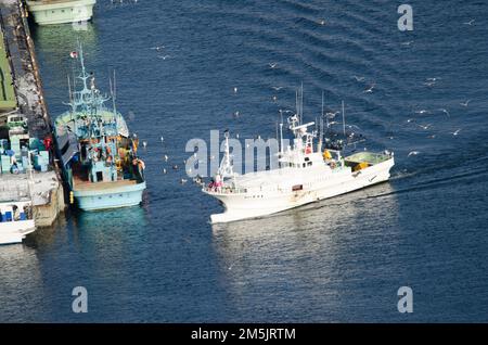 Rausu, 28. November 2017: Blick auf ein Fischerboot, das im Hafen ankommt. Halbinsel Shiretoko. Unterpräfektur Nemuro. Hokkaido. Japan. Stockfoto