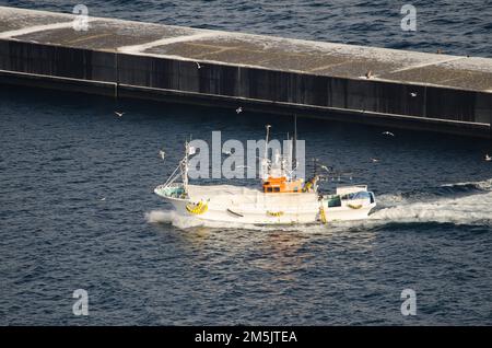 Rausu, 28. November 2017: Blick auf ein Fischerboot, das im Hafen ankommt. Halbinsel Shiretoko. Unterpräfektur Nemuro. Hokkaido. Japan. Stockfoto