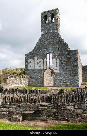 Eine wunderschöne Aufnahme historischer Ruinen in der Abtei Mellifont in der Nähe von Drogheda, Irland Stockfoto