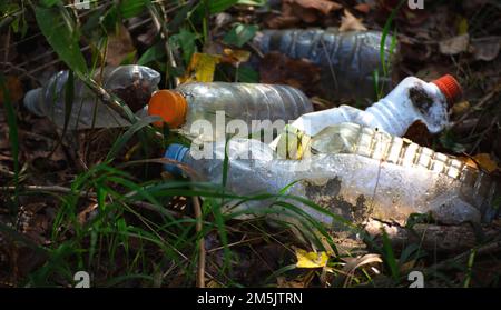 Müll, Plastikflaschen in der Natur Stockfoto