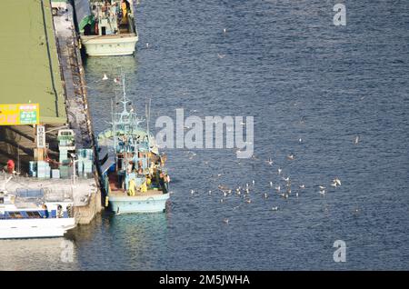 Rausu, 28. November 2017: Blick auf ein Fischerboot im Hafen. Halbinsel Shiretoko. Nemuro Subprefecture, Hokkaido, Japan. Stockfoto