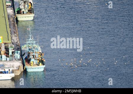 Rausu, 28. November 2017: Blick auf ein Fischerboot im Hafen. Halbinsel Shiretoko. Nemuro Subprefecture, Hokkaido, Japan. Stockfoto