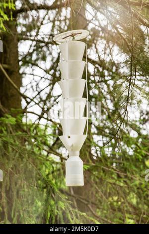 Falle für Insekten und Käfer. Eine Falle für Schädlinge und Insekten hängt an einem Baum im Garten. Einen Rindenkäfer mit einer Pheromonfalle fangen Stockfoto