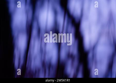 Panorama verwischen neblige Halloween-Textur im Herbst. Magische Unschärfe occulture Herbst Halloween Hintergrund. Stockfoto