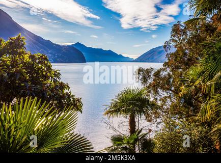 Herrliche Aussicht auf den Lugano-See mit Bergen auf der anderen Seite des Lugano-Sees. Foto aus Vororten von Lugano und Olive Trail mit Palmen (einige Par Stockfoto