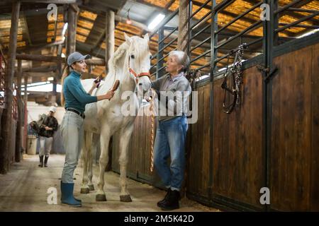 Alte Bauernfrau mit einer jungen Assistentin, die ein weißes Pferd im Stall pflegt Stockfoto