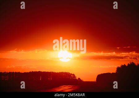 Große Sonne in lebhaft schönen Sonnenuntergang Sonnenschein über Sommer Landschaft Counrty Road und Wald. Sonnenlicht Bei Sonnenuntergang. Waldschatten, Silhouette Landschaft Stockfoto