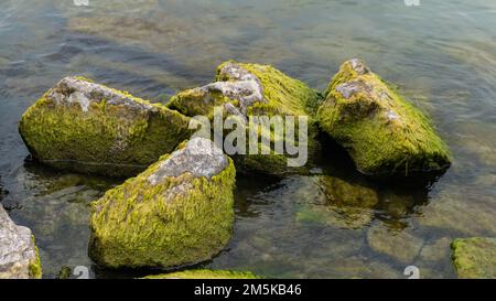 Eine Nahaufnahme von mossigen Felsen in einem Wasser Stockfoto