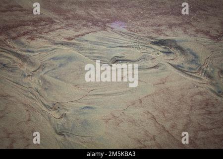 Ein Blick auf das Leben in Neuseeland. Sehenswürdigkeiten am Strand in einer abgeschiedenen Bucht, South Island, Neuseeland. Muster im Sand. Stockfoto