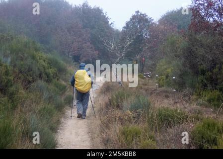 Ein Pilger im Nebel auf dem Saint James Way auf dem Weg über die Bergkette zwischen Foncebadón und Ponferrada. Stockfoto