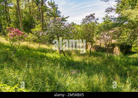 Das Crane Estate gehört den Treuhändern der Reservierungen, Ipswich, MA Stockfoto