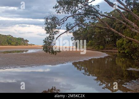 Moonee Creek, Teil des Solitary Islands Marine Park Stockfoto