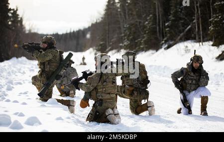 USA Armeesoldaten gehören dem 3. Bataillon, dem 21. Infanterie-Regiment, dem 1. Stryker-Brigade-Kampfteam, der 25. Infanterie-Division, USA Army Alaska, führen Sie ihre Verteidigungstaktik während einer Feldübung zur Unterstützung des Joint Pacific Multinational Readiness Center 22-02 nahe Ft. Greely, AK, 22. März 2022. Teamübungen, die in JPMRC durchgeführt werden, helfen dabei, Taktiken, Techniken und Verfahren zu validieren, die für Soldaten erforderlich sind, um in arktischen Umgebungen zu operieren. Stockfoto