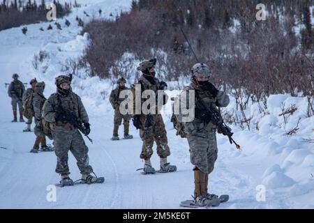 Soldaten der B-Kompanie, 1. Bataillon, 24. Infanterie-Regiment, 1. Stryker-Brigade-Kampfteam, 25. Infanterie-Division, US-Armee Alaska führen Aufklärungsflüge in Donnelly-Trainingsgebiet durch, 22. März 2022 während des Joint Pacific Multinational Readiness Center 22-02. Das in JPMRC 22-02 verwendete „Near-Peer“-Szenario unterstützt Soldaten und Führer bei der Entwicklung und Verfeinerung der Taktiken, Techniken und Verfahren, die für einen erfolgreichen Betrieb unter abgelegenen und extremen arktischen Winterbedingungen und zur Bewältigung sowohl ökologischer als auch militärischer Herausforderungen erforderlich sind. (Foto von Staff Sgt. Christopher Dennis/USARAK PAO NCO) Stockfoto