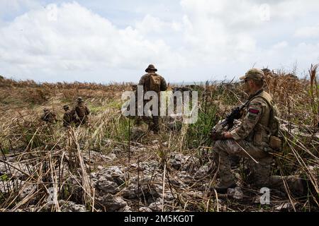 USA Marines mit dem Bataillon Landing Team 1/5, 31. Marine Expeditionary Unit (MEU) und britische Royal Marine Commandos mit 40 Commando Royal Marines führen während einer experimentellen Dschungelübung eine Aufklärungspatrouille durch, Marinebasis Guam, Guam, 20. März 2022. Exercise Noble Arashi ist Teil der Noble-Reihe von 31. der MEU, die zur Validierung oder Ungültigerklärung der Familie der Naval-Konzepte, zur Entwicklung von Techniken und Verfahren für die Verwendung von MEU-Mitteln zur Unterstützung der Seeverleugnung und des Flottenmanövers sowie zur Unterstützung künftiger Truppenkonzepte und Experimente verwendet wird. Die 31. MEU ist in Betrieb Stockfoto