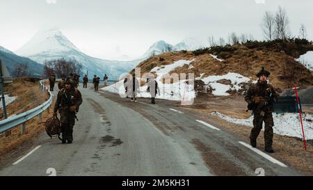 USA Marines Patrouille während Übung Cold Response 2022, Norwegen, 22. März 2022. Die Marines sind dem 3. Bataillon, dem 6. Marineregiment, der 2D. Division, der 2. Marine Expeditionstruppe zugeteilt. Übung Cold Response '22 ist eine alle zwei Jahre stattfindende norwegische Übung zur nationalen Bereitschaft und Verteidigung, die in ganz Norwegen stattfindet, unter Beteiligung jedes seiner Militärdienste sowie von 26 weiteren alliierten NATO-Nationen und regionalen Partnern. Stockfoto